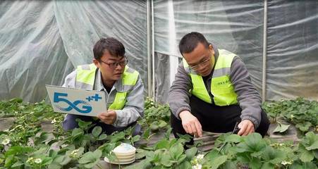 湖北通信业迈入“物超人”时代 前7月物联网卡用户激增66.8%领跑全国，智能水务系统开发成关键引擎